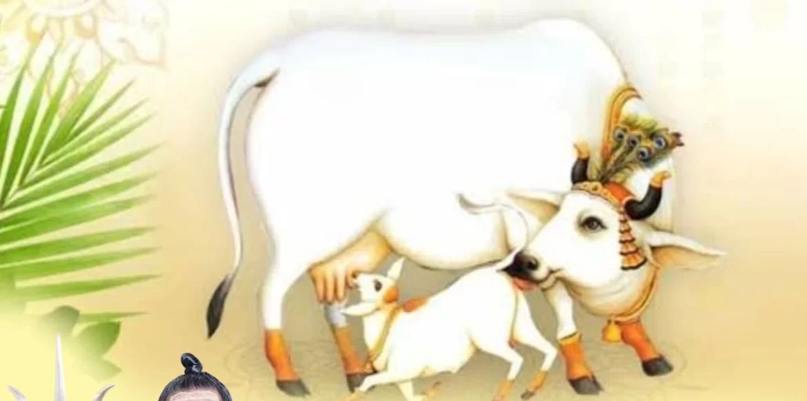 vasu
